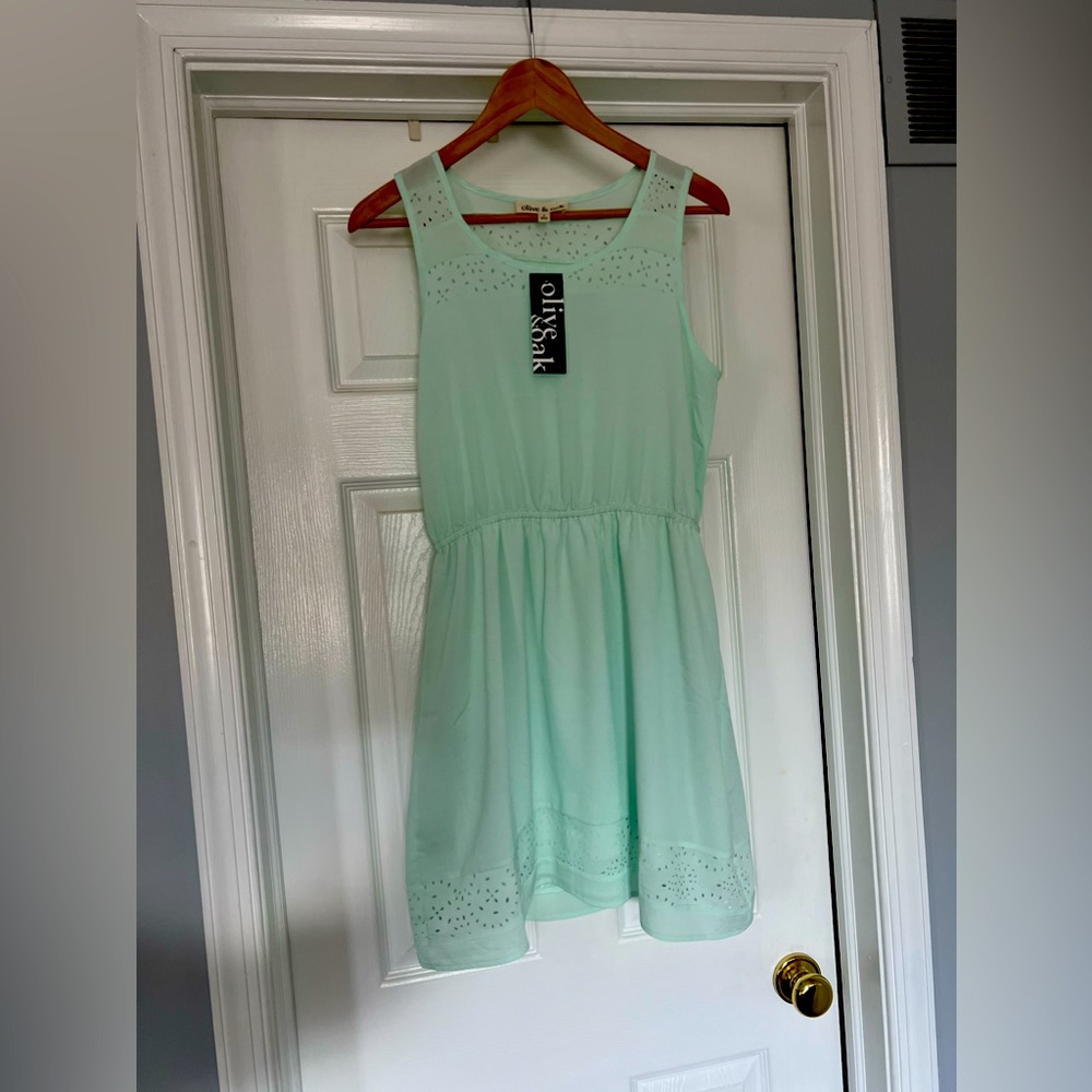 Olive & Oak mint green dress NWT